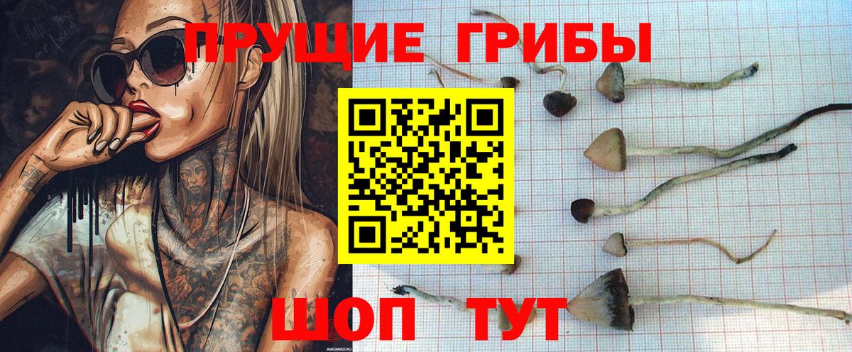 Галлюциногенные грибы Magic Shrooms  Псилоцибиновые грибы мухоморы  Вход с VPN  Клинцы 