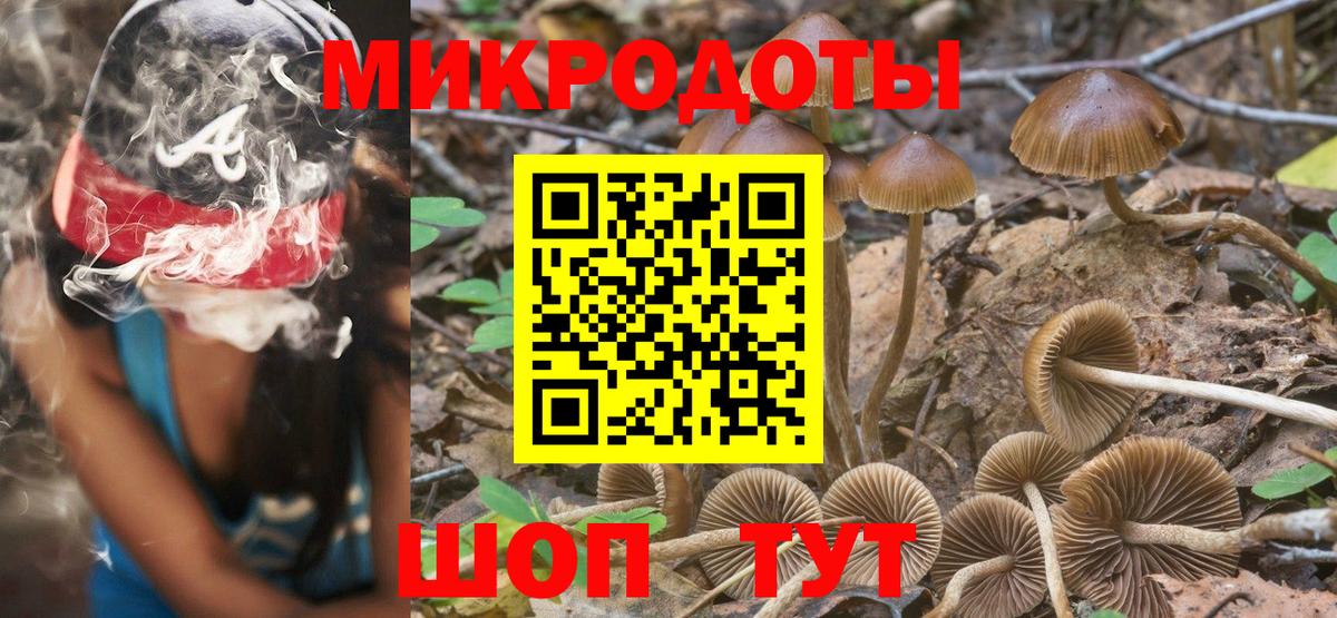 Галлюциногенные грибы Psilocybine cubensis Клинцы